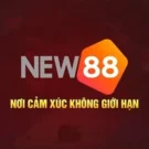New882 ec – Link Đăng Nhập Chính Thức Vào Trang Chủ New88