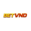 Betvnd134 vip – Tải App Chính Hãng Nhận Lì Xì Đến 2.888k